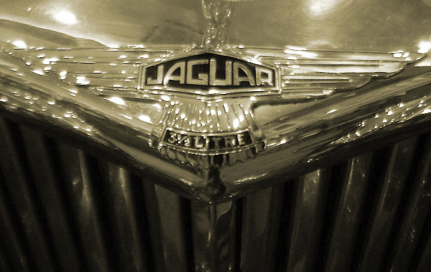 jaguar--3.5--litre