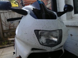 CBR600f covered in road trip flies